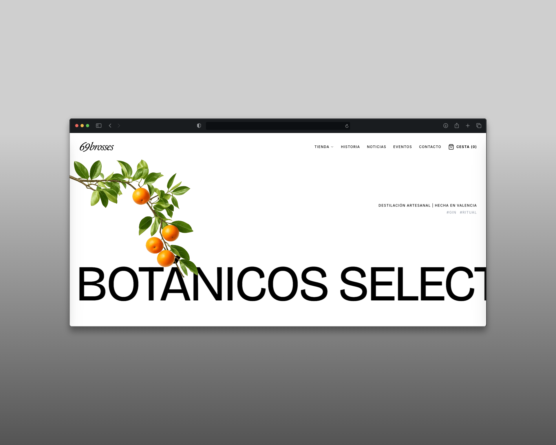 69 Brosses — E-commerce